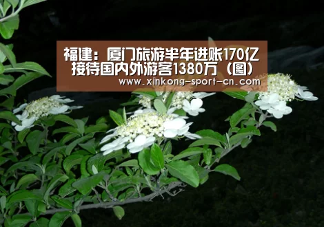 星空娱乐